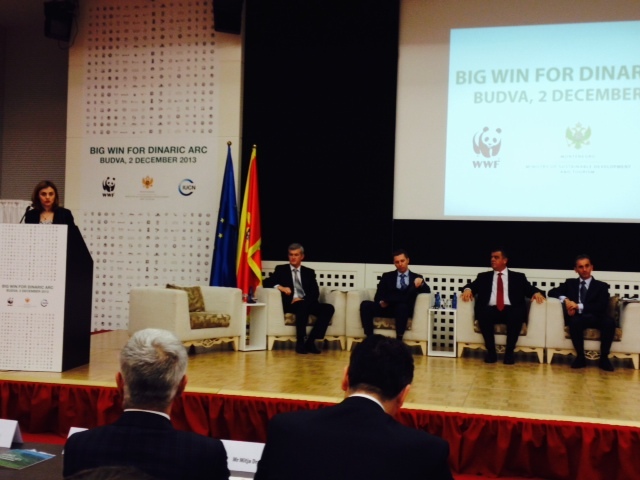 Picture for Замјеница министра представљала Босну и Херцеговину на другој Међународној конференцији BIG WIN за Динарски лук