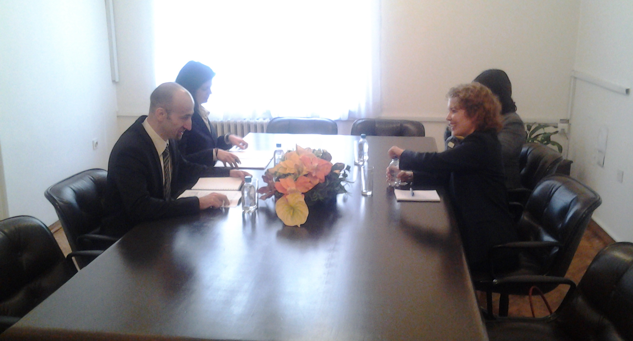 Picture for Ministar Boris Tučić na sastanku s otpravnikom poslova Ambasade Velike Britanije u BiH gđom Džo Lomas